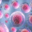 stem cell injection in turkey